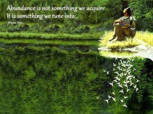 Abundance-is-not-something[1]